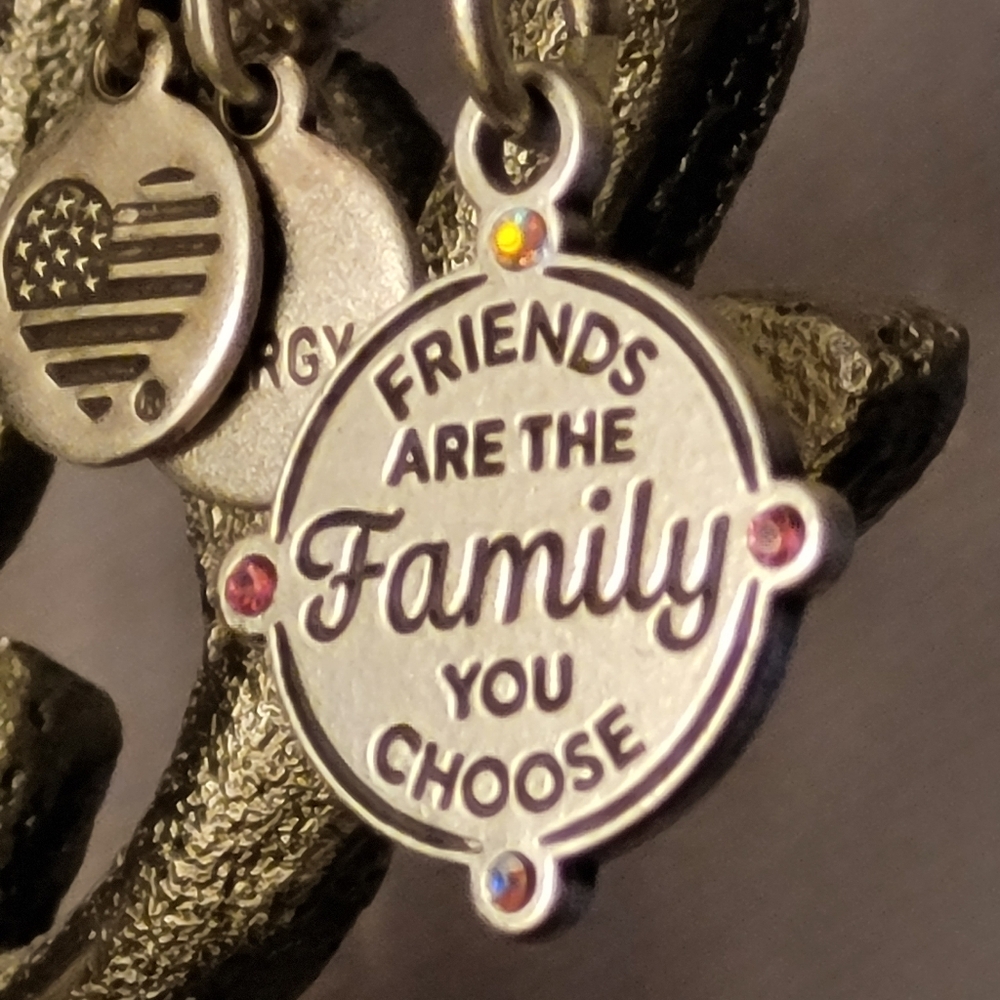 Alex & Ani Friends Are The Family You Choose Charm Bangle Bracelet Silver-tone - Picture 1 of 16